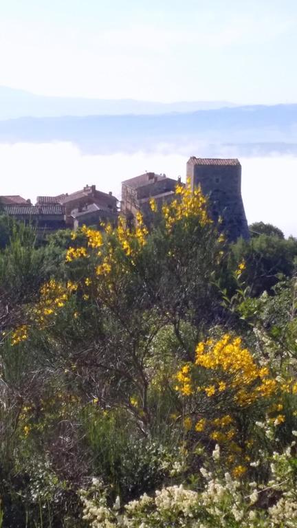 Apartment La Scala 1572 San Quirico dʼOrcia Εξωτερικό φωτογραφία